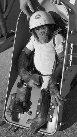 First Hominidae in Space with Chimpanzee Ham