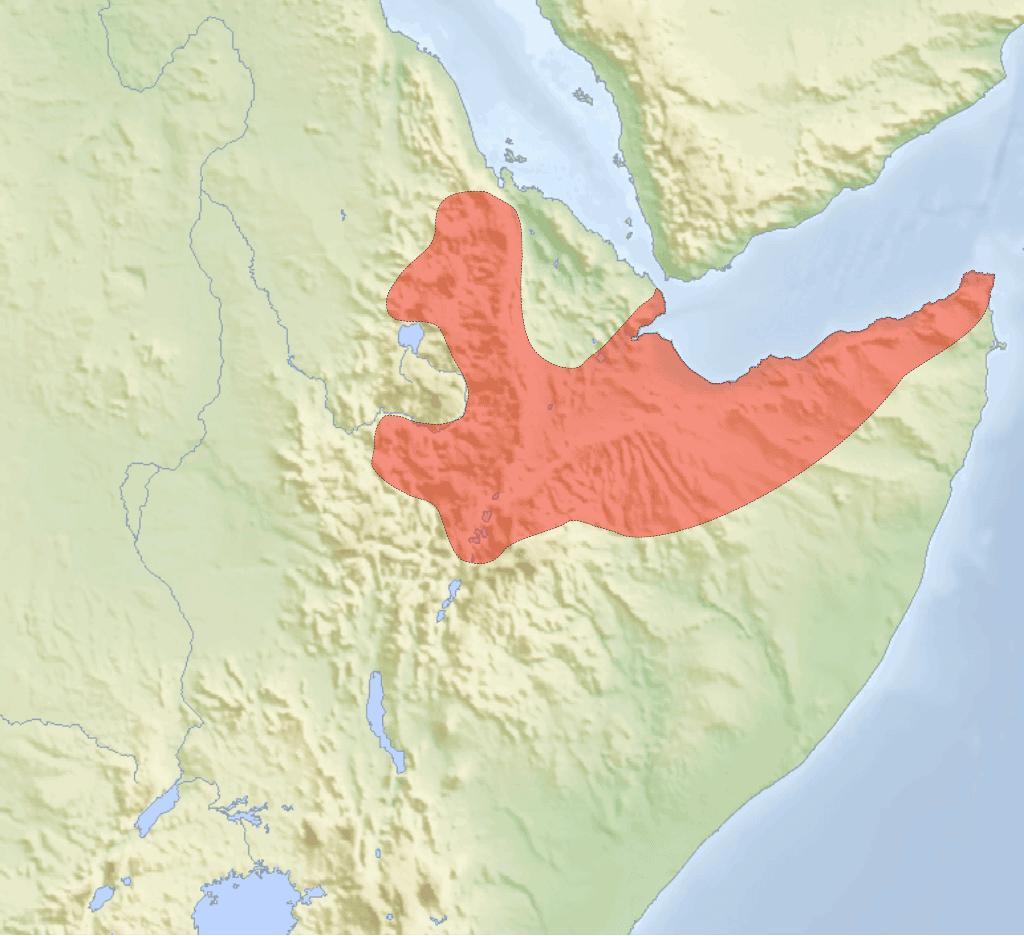 Moment image for The Impact of the Makhzumi Dynasty's Collapse on Regional Power Dynamics in 1288