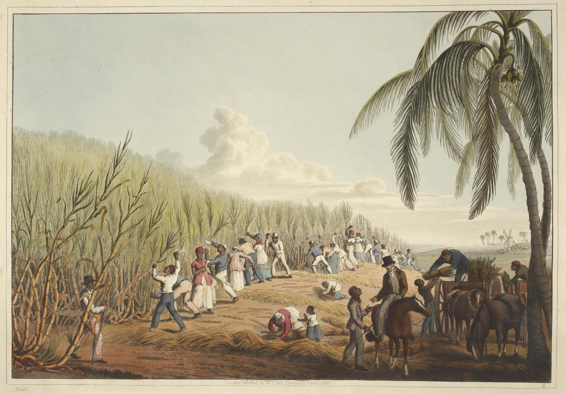 Moment image for Establishment of Saint-Domingue's French Colony
