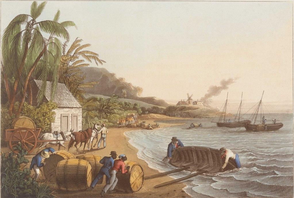 Moment image for Key Sugar Production in French Empire