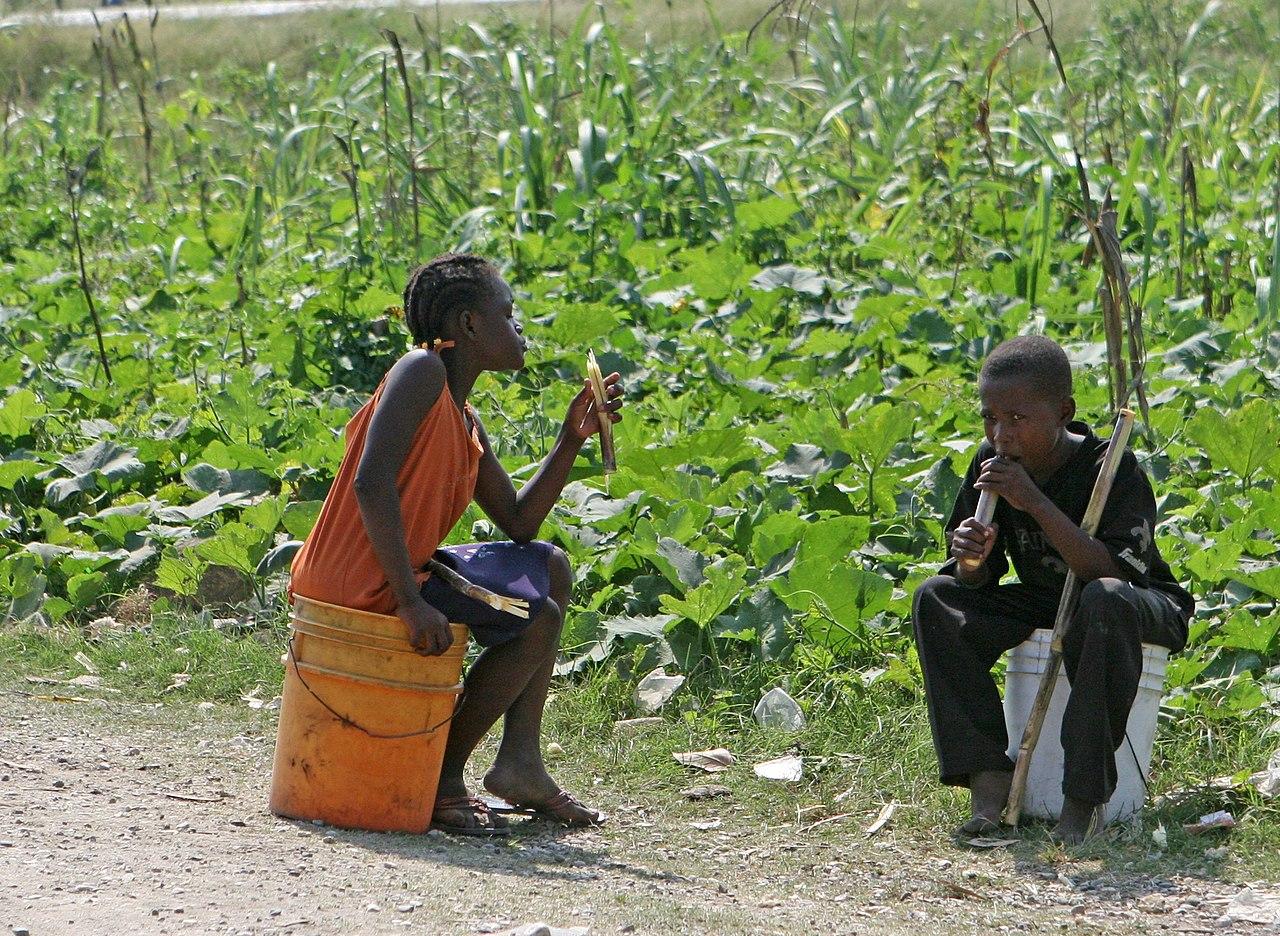 Moment image for Foundation of Damien's Central School of Agriculture