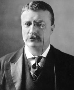 Theodore Roosevelt becomes President after William McKinley's assassination, becoming the youngest President.