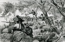 War of 1812: U.S. & Britain conflict escalates with major battles.