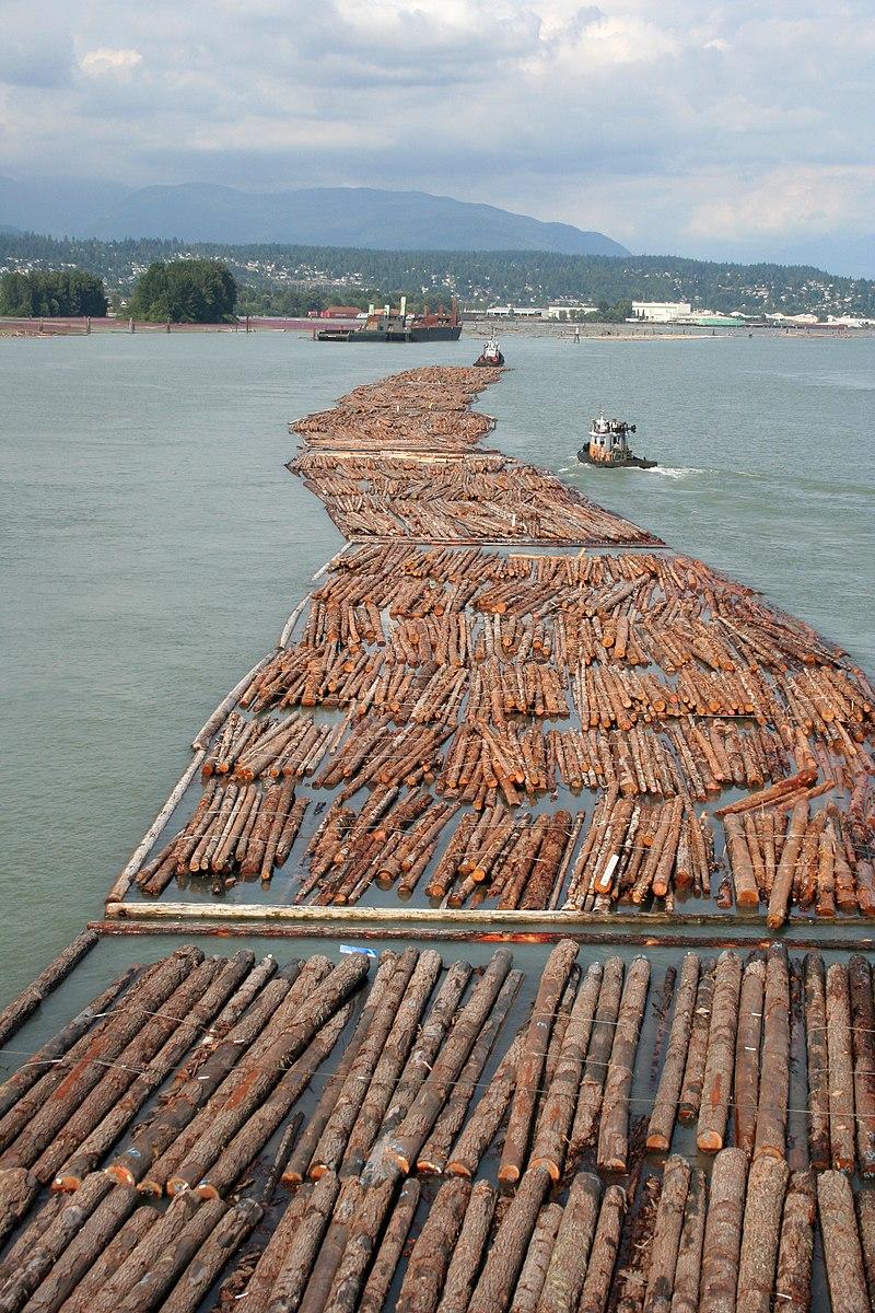 Moment image for Canada and U.S. reached an agreement to Softwood lumber trade
