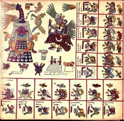 Exploring the Codex Borbonicus