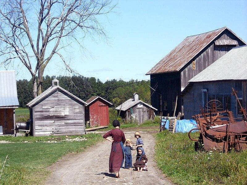 Moment image for Rise of the Amish Community