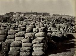 Britain Imports 2.5 Million Pounds of Raw Cotton