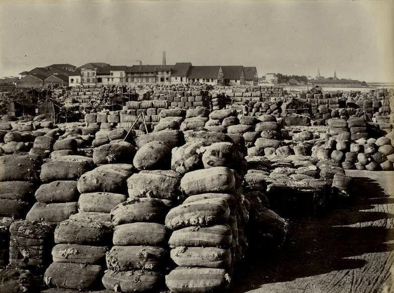Moment image for Britain Imports 2.5 Million Pounds of Raw Cotton