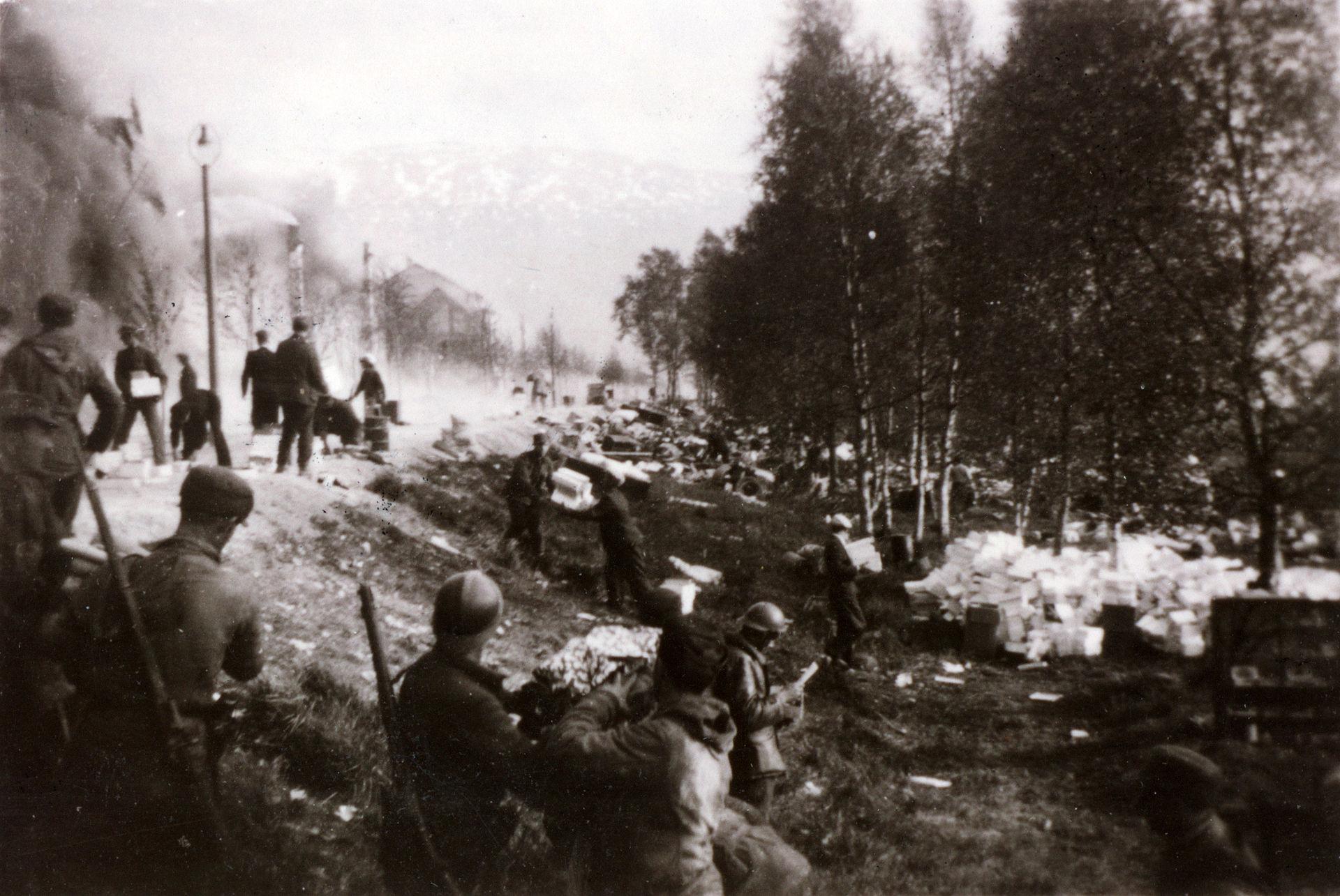 Moment image for Strategic significance of Battles of Narvik in World War II's early months.