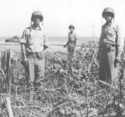 Third Battle of the Matanikau