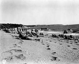 The Slapton Sands Tragedy 
