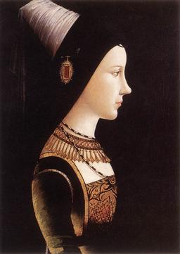 Mary of Burgundy: Heiress of the Burgundian Netherlands