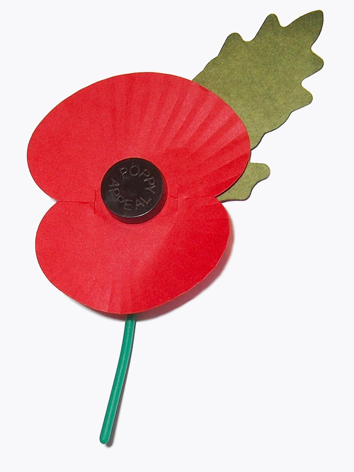 Moment image for Support for British war veterans through the Royal British Legion's founding initiative.