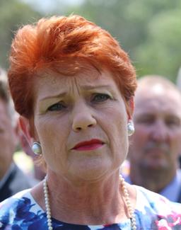 Pauline Hanson forms the One Nation Party