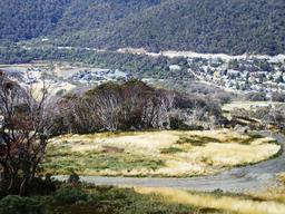 Tragic Thredbo Alpine Village Building Collapse