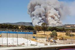 Deadly Bushfires: 173 Lives Lost
