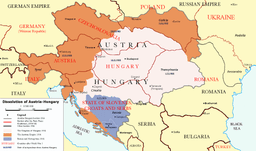 Post-Austro-Hungarian Empire: Central Europe's Transition to Nation-States