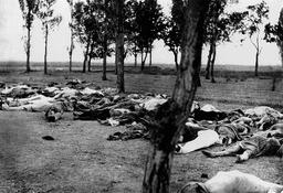 The Armenian Genocide continued, with deportations and massacres ongoing throughout the Ottoman Empire, resulting in a large loss of life.