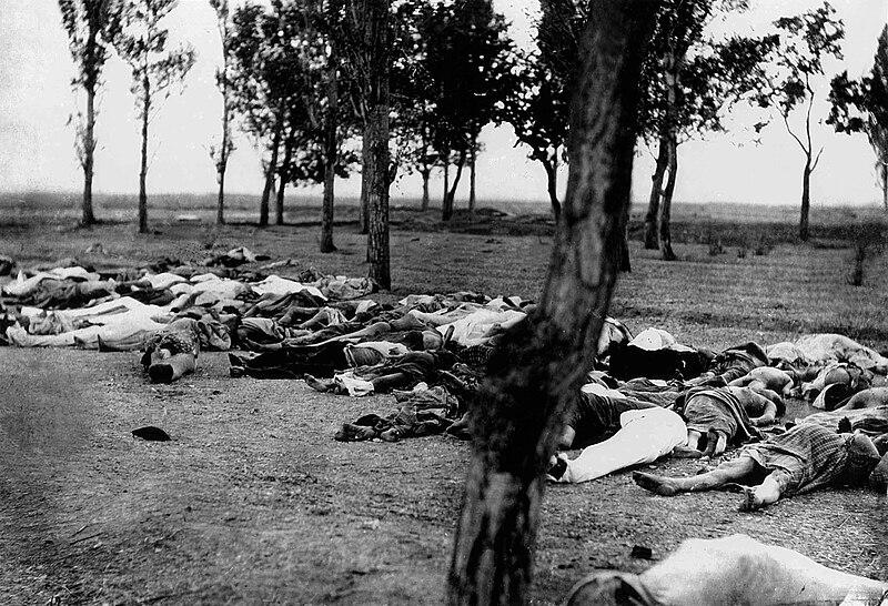 Moment image for The Armenian Genocide continued, with deportations and massacres ongoing throughout the Ottoman Empire, resulting in a large loss of life.