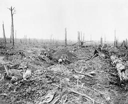 Intense Battle of the Somme: Brutal trench warfare and high casualties on both sides.