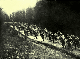 Battle of Transylvania: Allies' advance halted by Central Powers in crucial WWI episode.