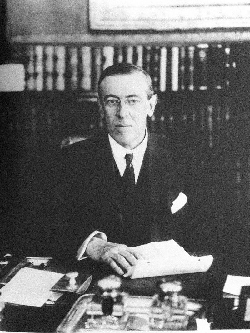 Moment image for Woodrow Wilson's plea for peace during World War I disregarded by warring nations.
