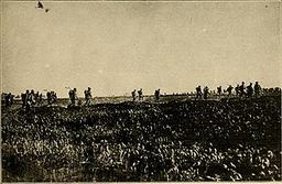 The Battle of Cantigny: American Forces Shine in World War I Victory