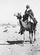 Moment image for Lawrence of Arabia leads Arab forces to capture Aqaba from Ottomans, impacting World War I.