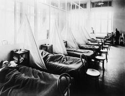 Spanish flu's devastating impact on military readiness during World War I.