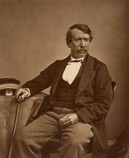 David Livingstone becomes the first European to see Victoria Falls, in what is now Zambia and Zimbabwe