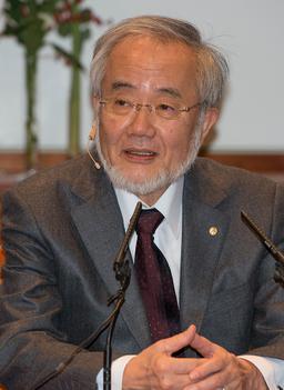 Nobel laureate Yoshinori Ohsumi revolutionized understanding of autophagy's role in health and disease.