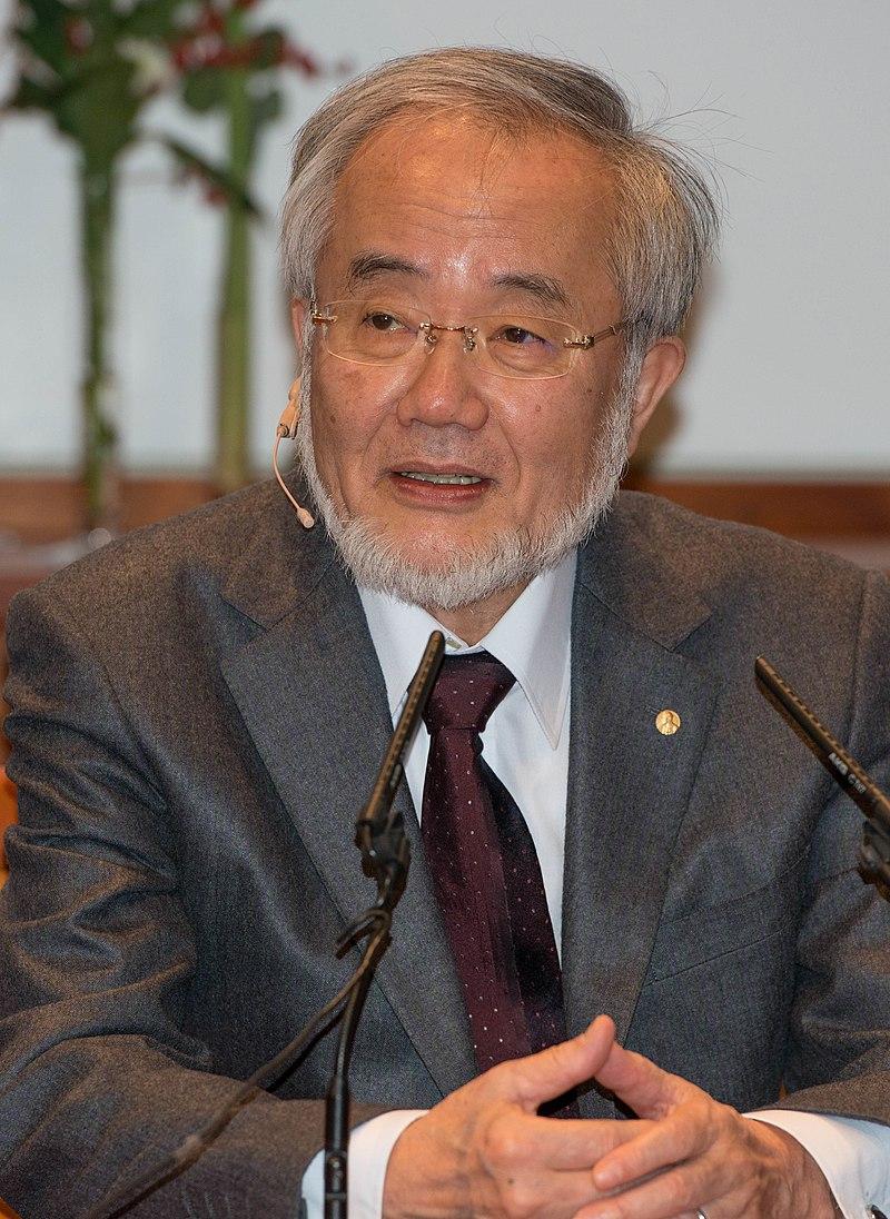 Moment image for Nobel laureate Yoshinori Ohsumi revolutionized understanding of autophagy's role in health and disease.