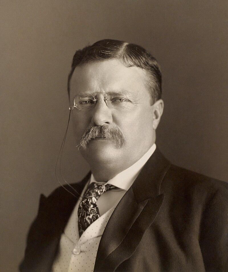 Moment image for Theodore Roosevelt: A progressive leader known for trust-busting and conservation efforts.