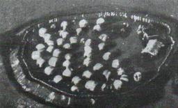 Beginning of tensions in the Abyssinia Crisis: League of Nations response and Italy's aggression.