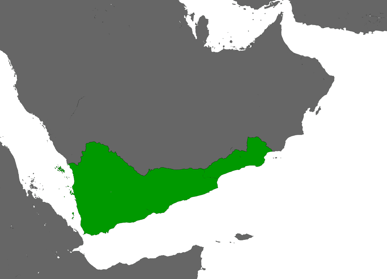 Moment image for King Kaleb: Aksumite invasion of Himyarite Kingdom consolidates control in Yemen region.