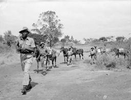 Mau Mau Uprising: Fight for Independence
