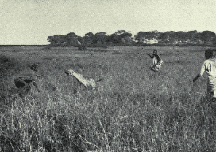 Moment image for Maasai tribe territory expansion begins