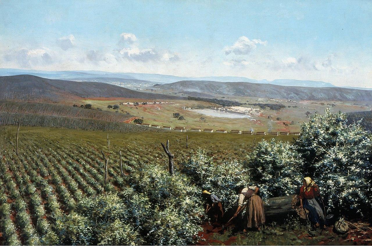 Moment image for Coffee Empire Origins: Smuggled Seeds in Bouquet