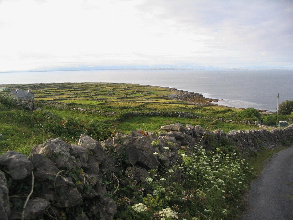 Moment image for Saint Enda establishes the initial Irish monastery on Inishmore in the Aran Islands.