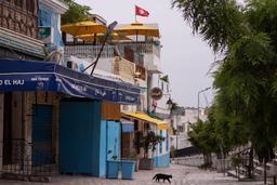 Rising COVID-19 cases in Tunisia prompt new government restrictions and containment measures.
