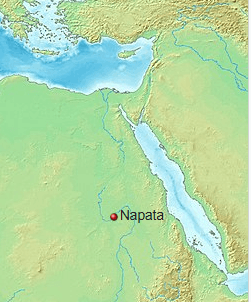 Establishment and Fall of Napata Capital