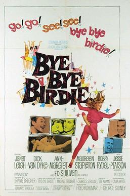 Moment image for Bye Bye Birdie 
