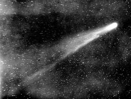 Halley's Comet observed by New Zealanders