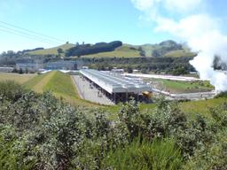 Milestone: Geothermal Power Begins at Wairakei