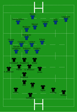 Rugby World Cup Victory