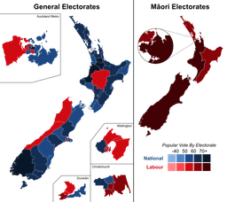 General Election Results and Outcomes