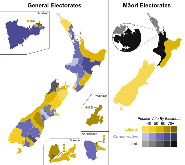 Moment image for First one-man-one-vote election in New Zealand's 1890 general election