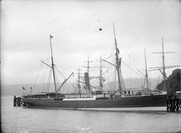 Shipwreck tragedy: SS Penguin, 75 casualties.