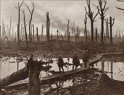 Battle of Passchendaele: 3,700 Kiwis Killed