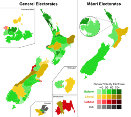 1919 General Election Overview